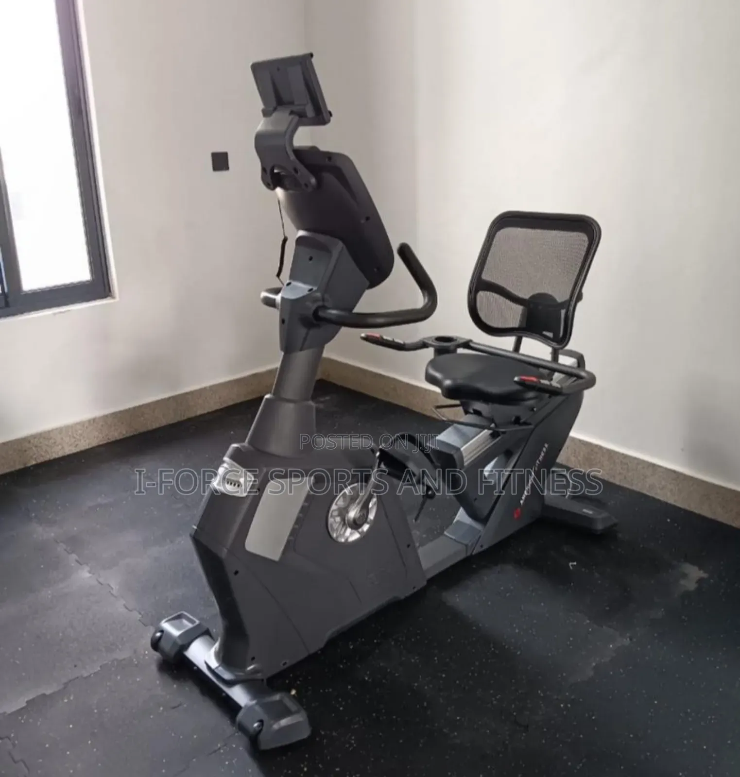 Commercial Recumbent Bike