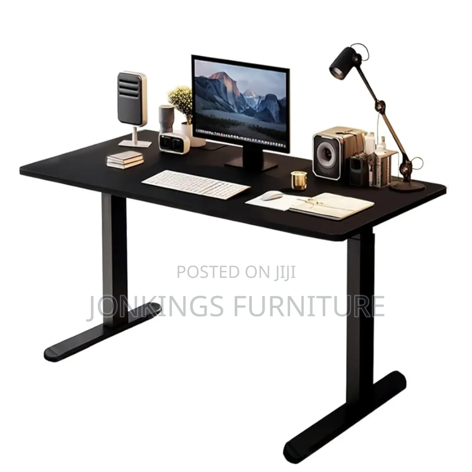 Rise Up Electric Standing Desk
