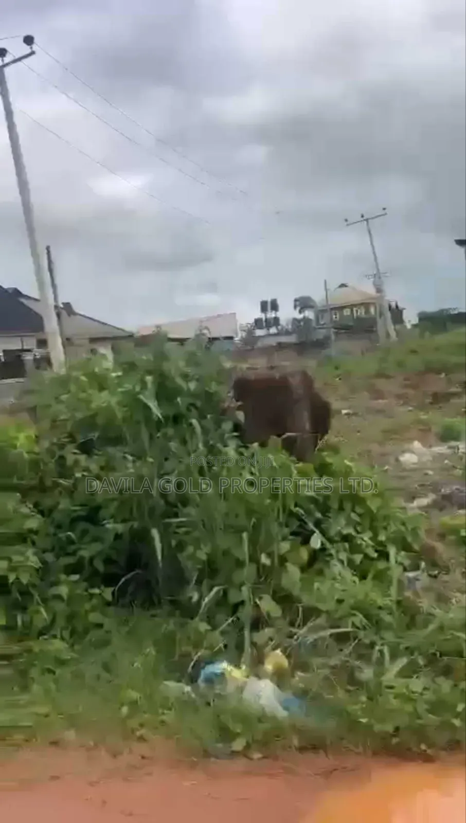 An Atrractive Land for Sale
