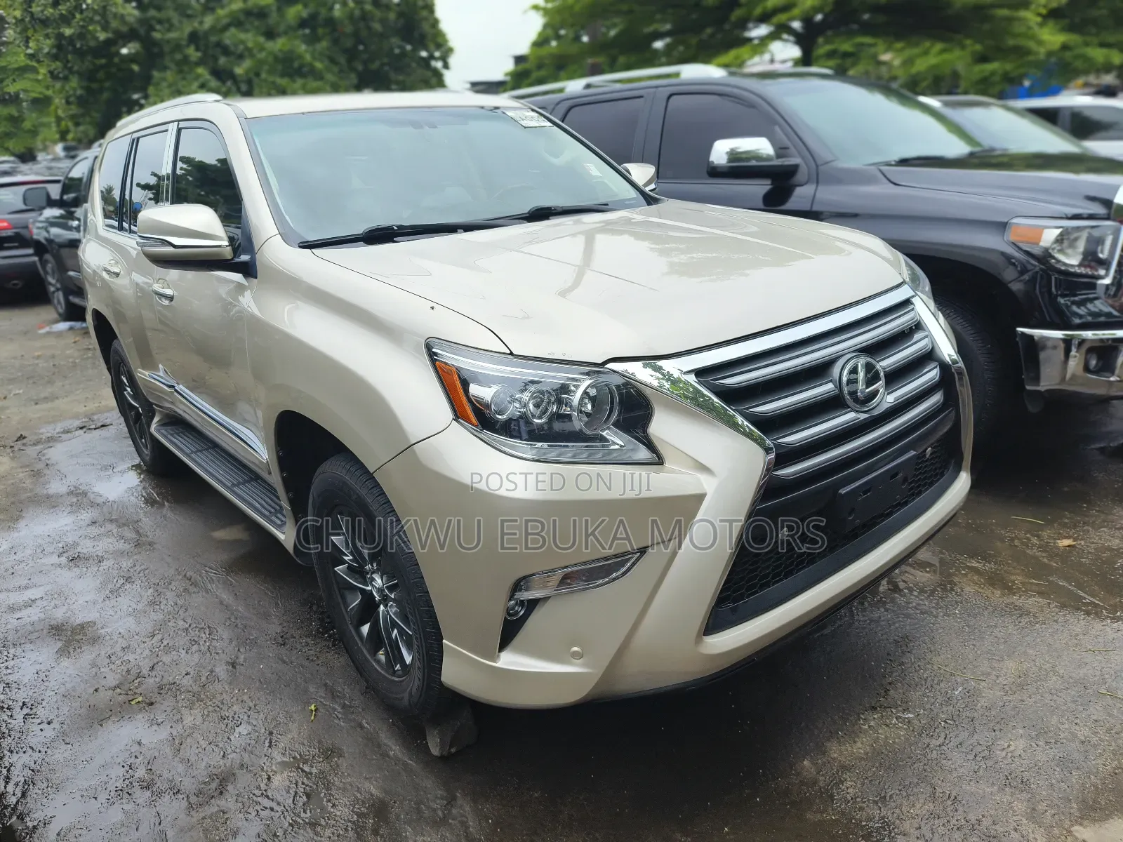 Lexus GX 460 2011 Gold