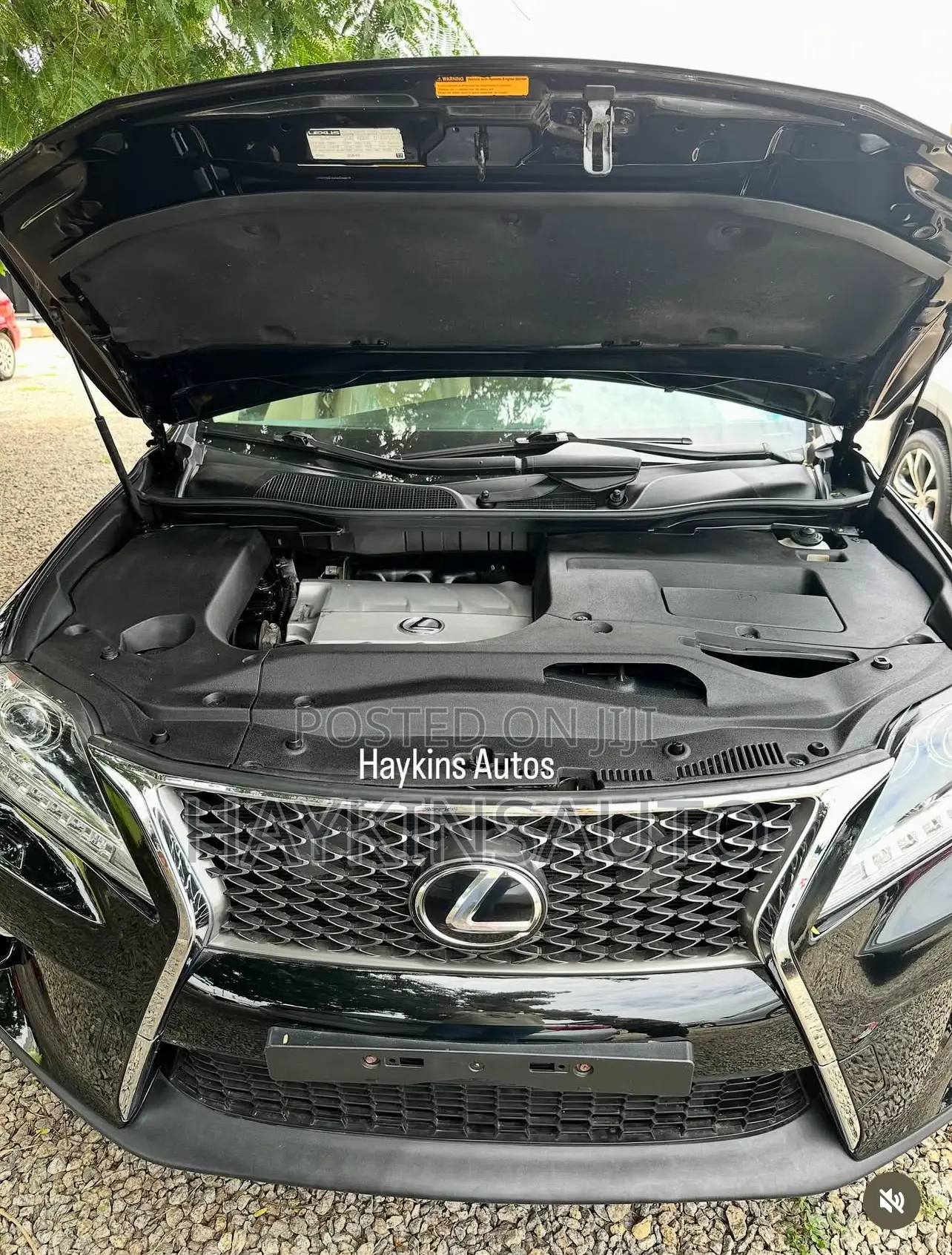 Lexus RX 2010 Black