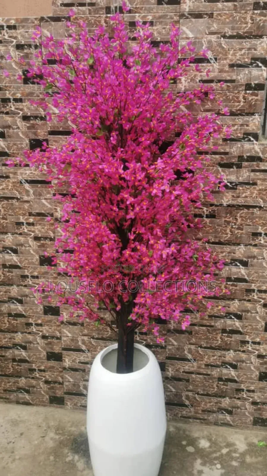 Quality Flower Plants With Quality Pot