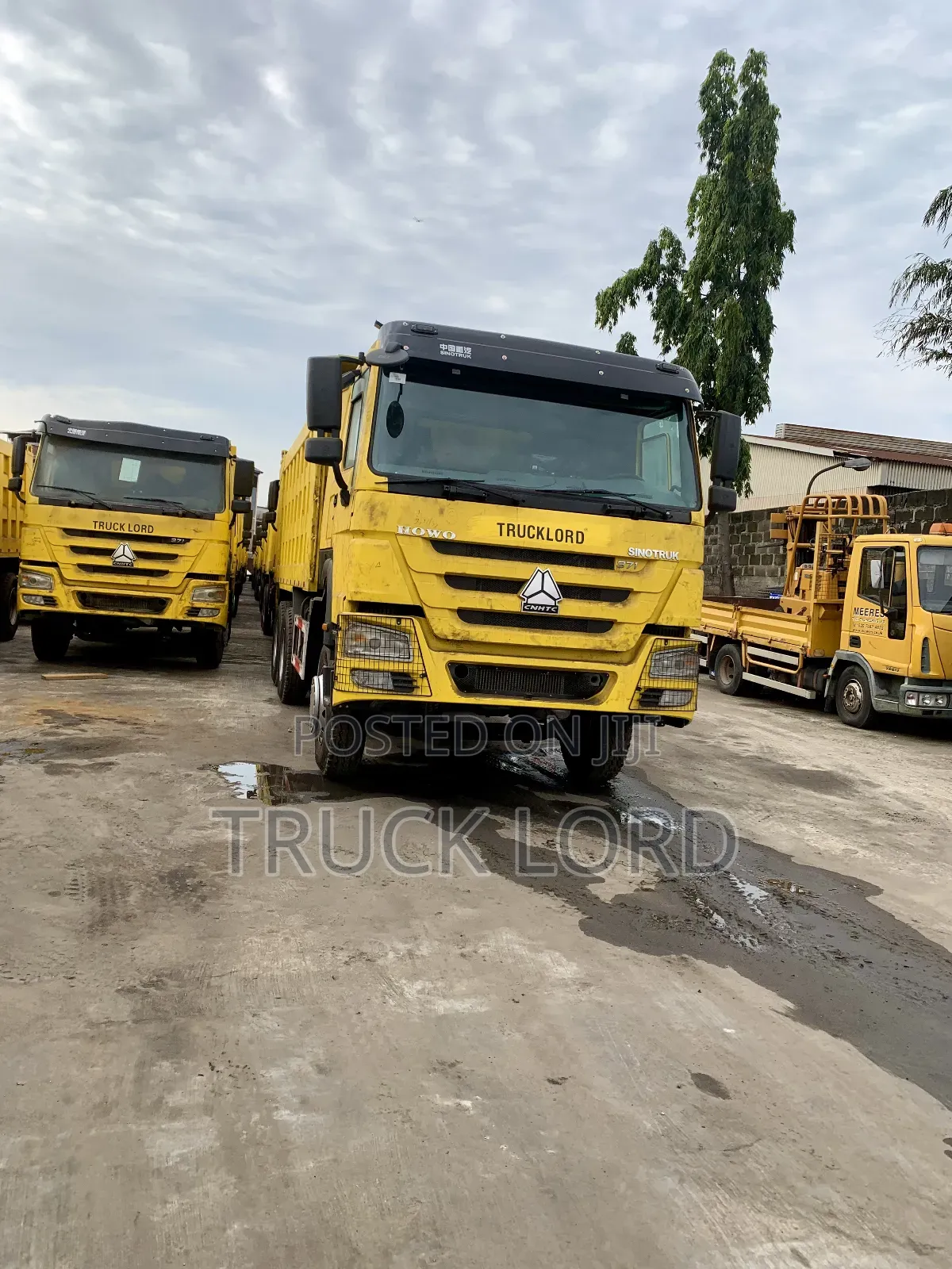 Trucklord_trucks