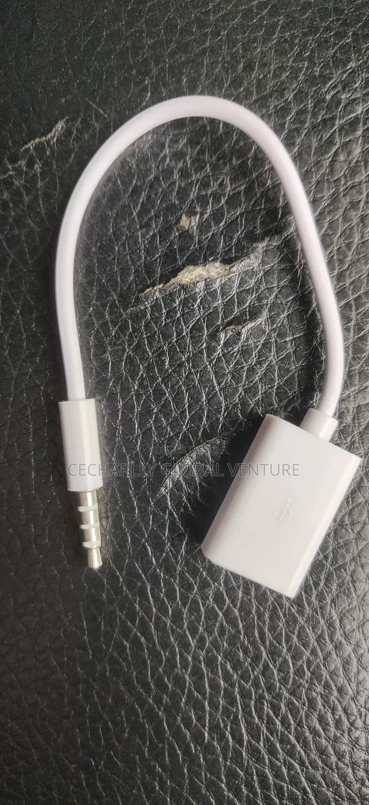 Aux 3.5m Port to Usb Female