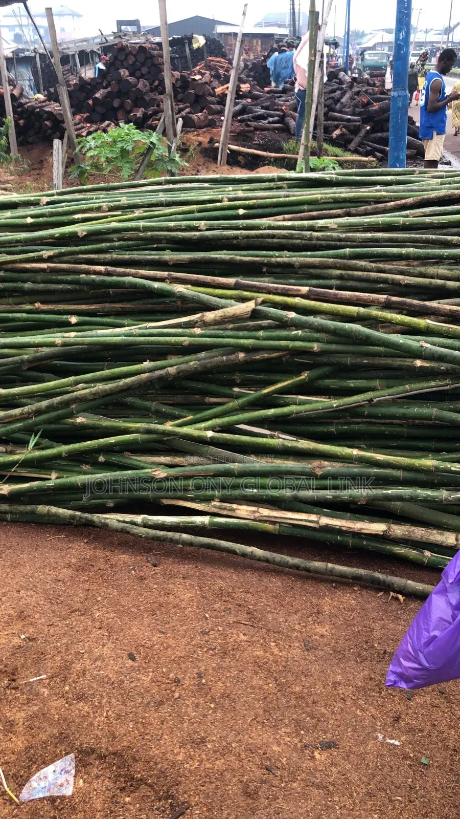 Quality Scaffolding Bamboo