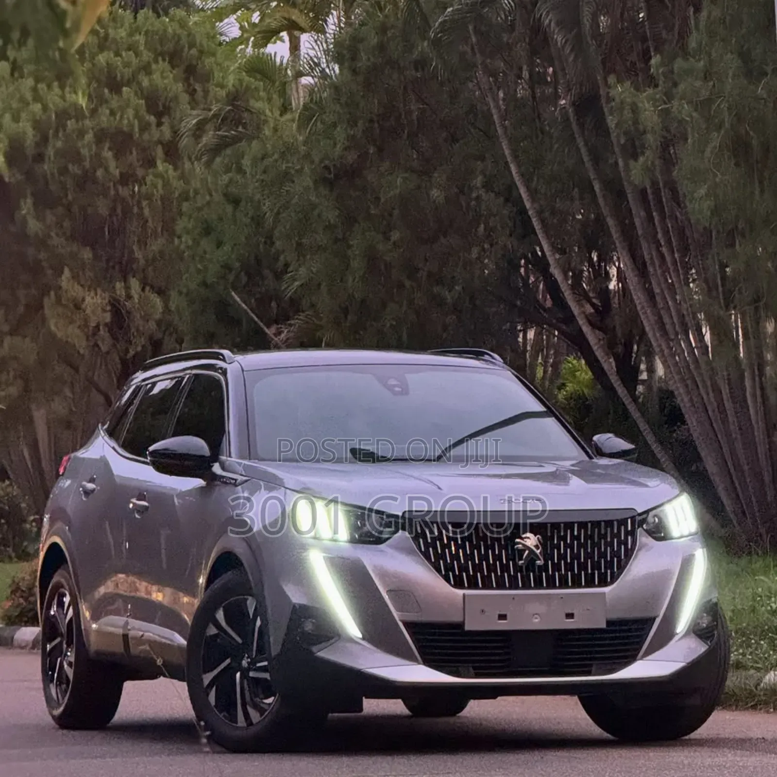 Peugeot 2008 2022 Silver