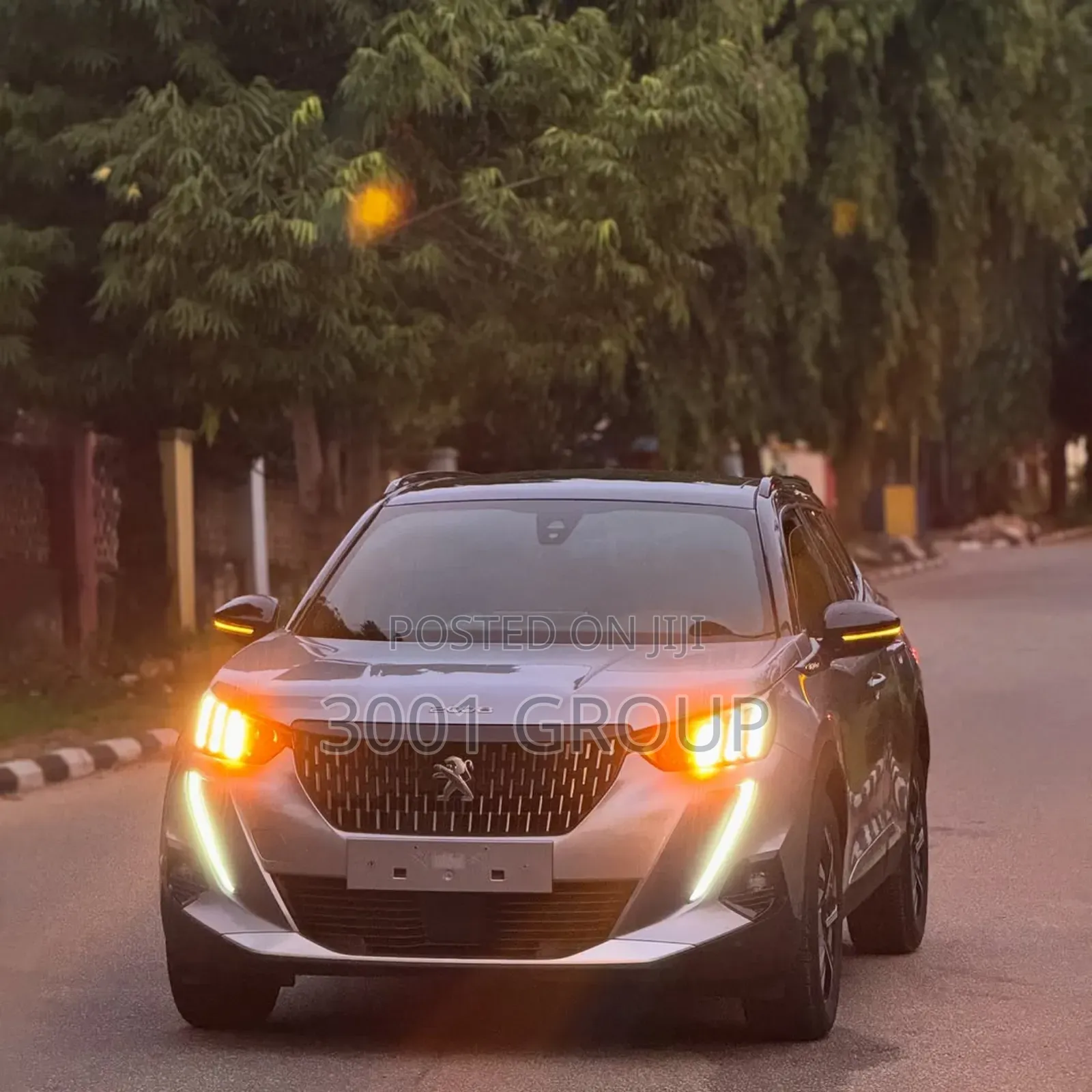 Peugeot 2008 2022 Silver