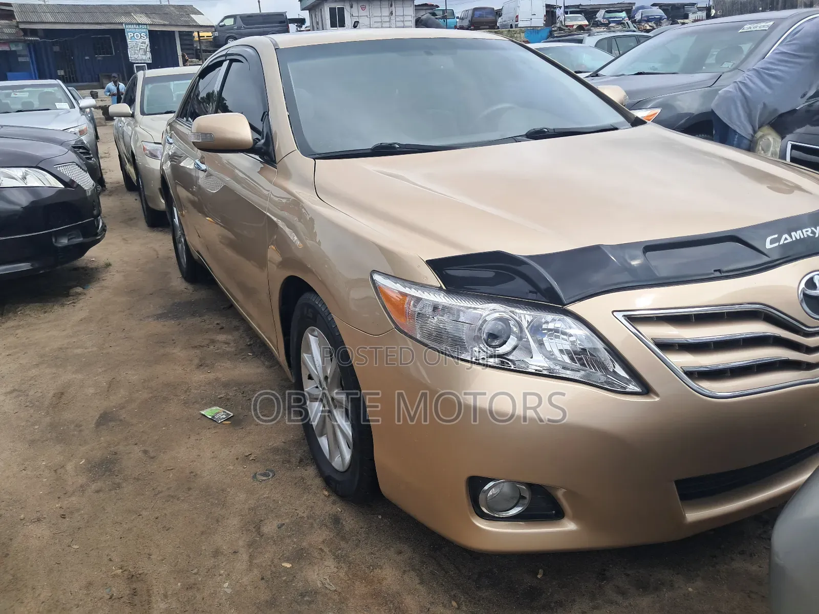 Toyota Camry XLE V6 4dr Sedan (3.5L 6cyl 6A) 2011 Gold