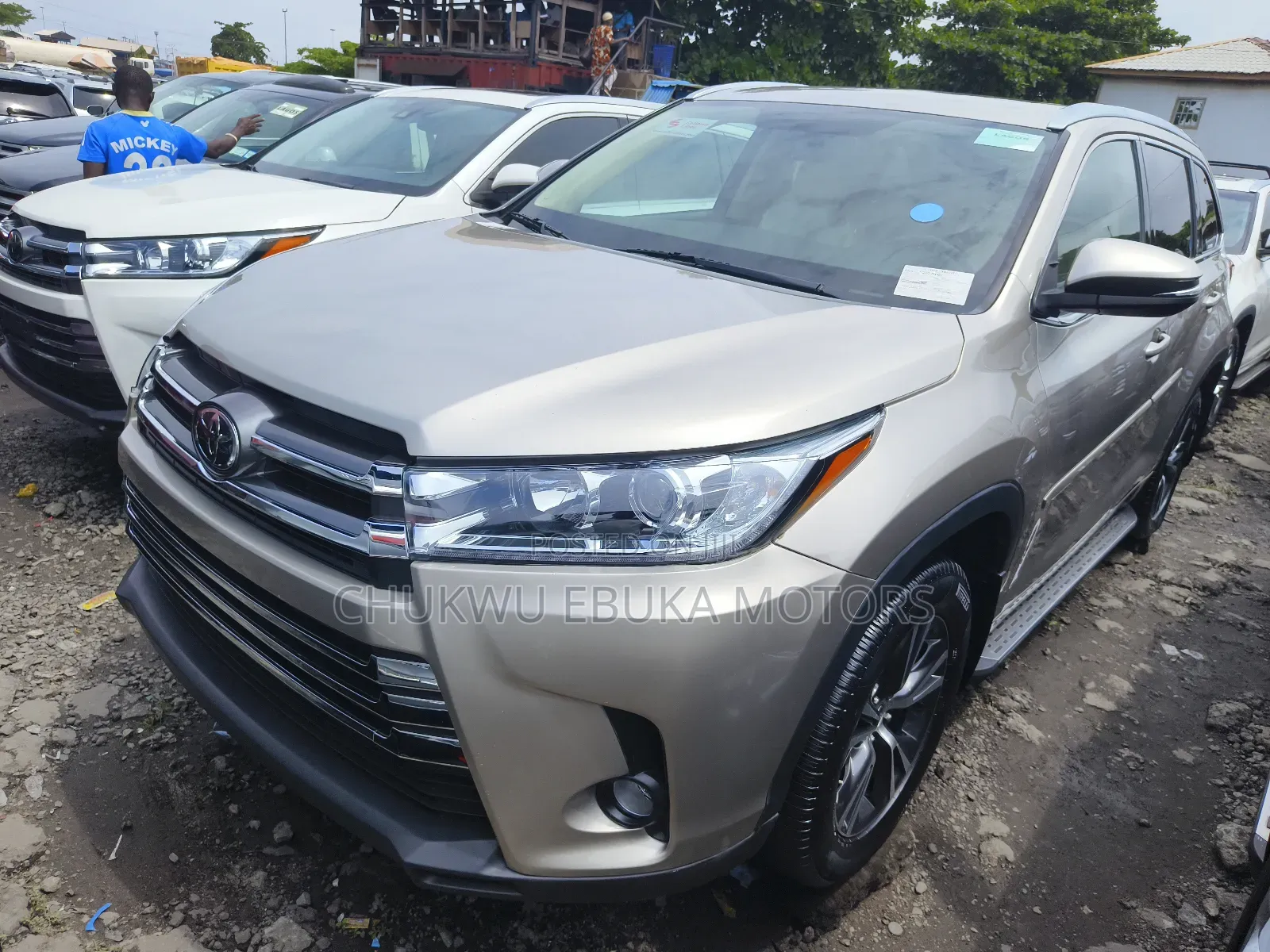 Toyota Highlander XLE 4dr SUV AWD (3.5L 6cyl 6A) 2015 Gold