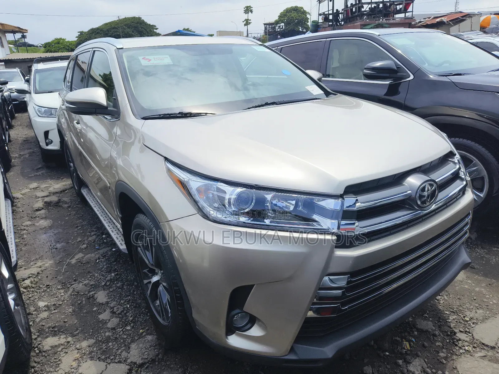 Toyota Highlander XLE 4dr SUV AWD (3.5L 6cyl 6A) 2015 Gold