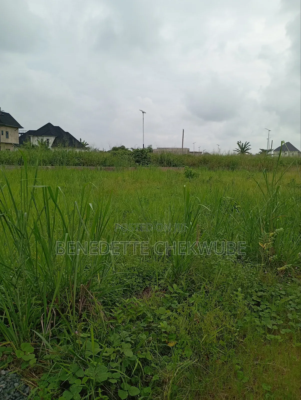 For Sale: Four Plots