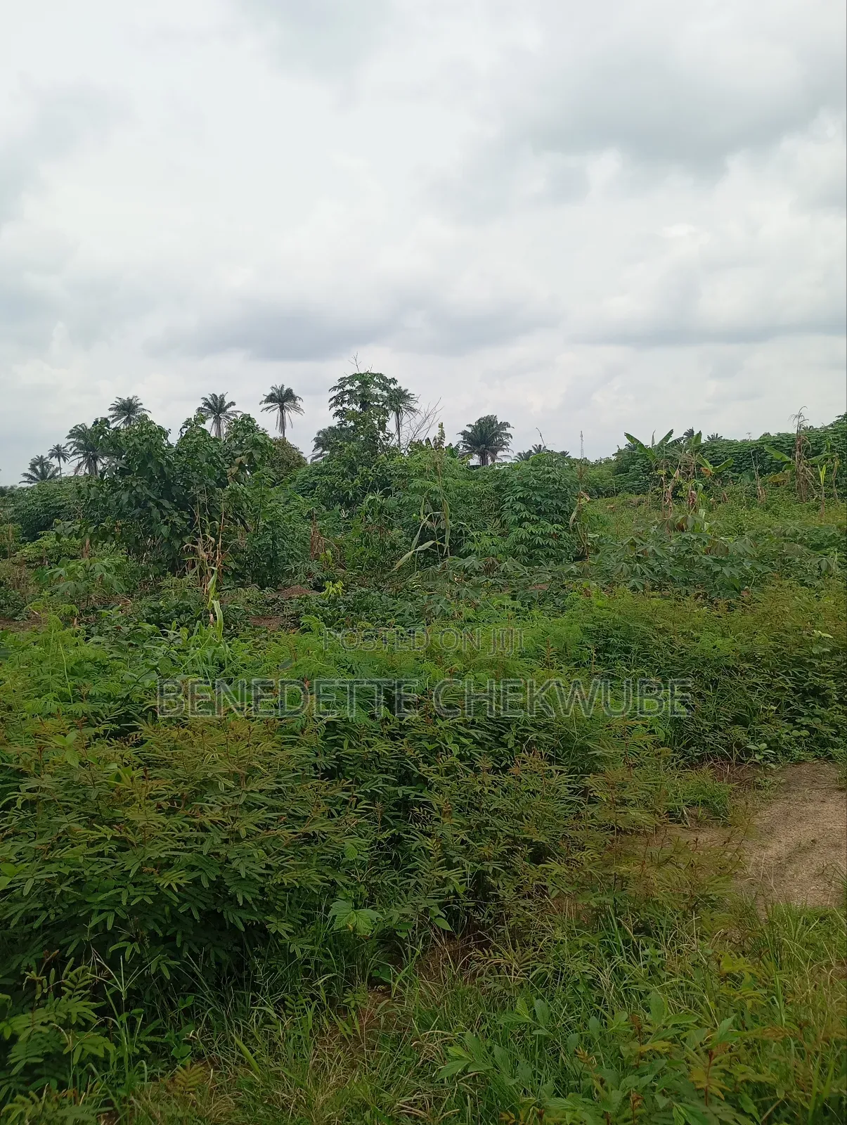For Sale: Four Plots
