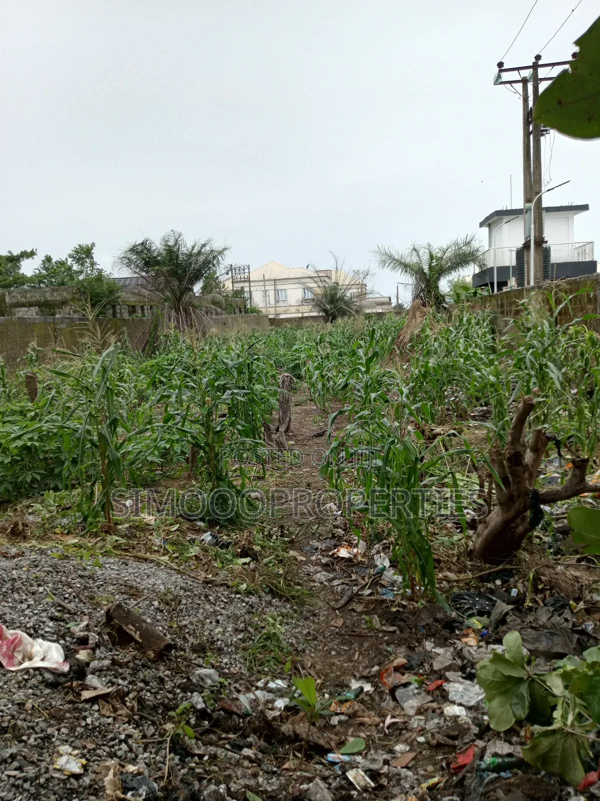 2plots of Facing Express Land for Sale