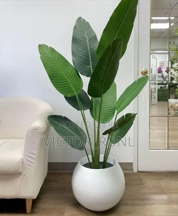 Elegant Flower Pots Available in Bulk