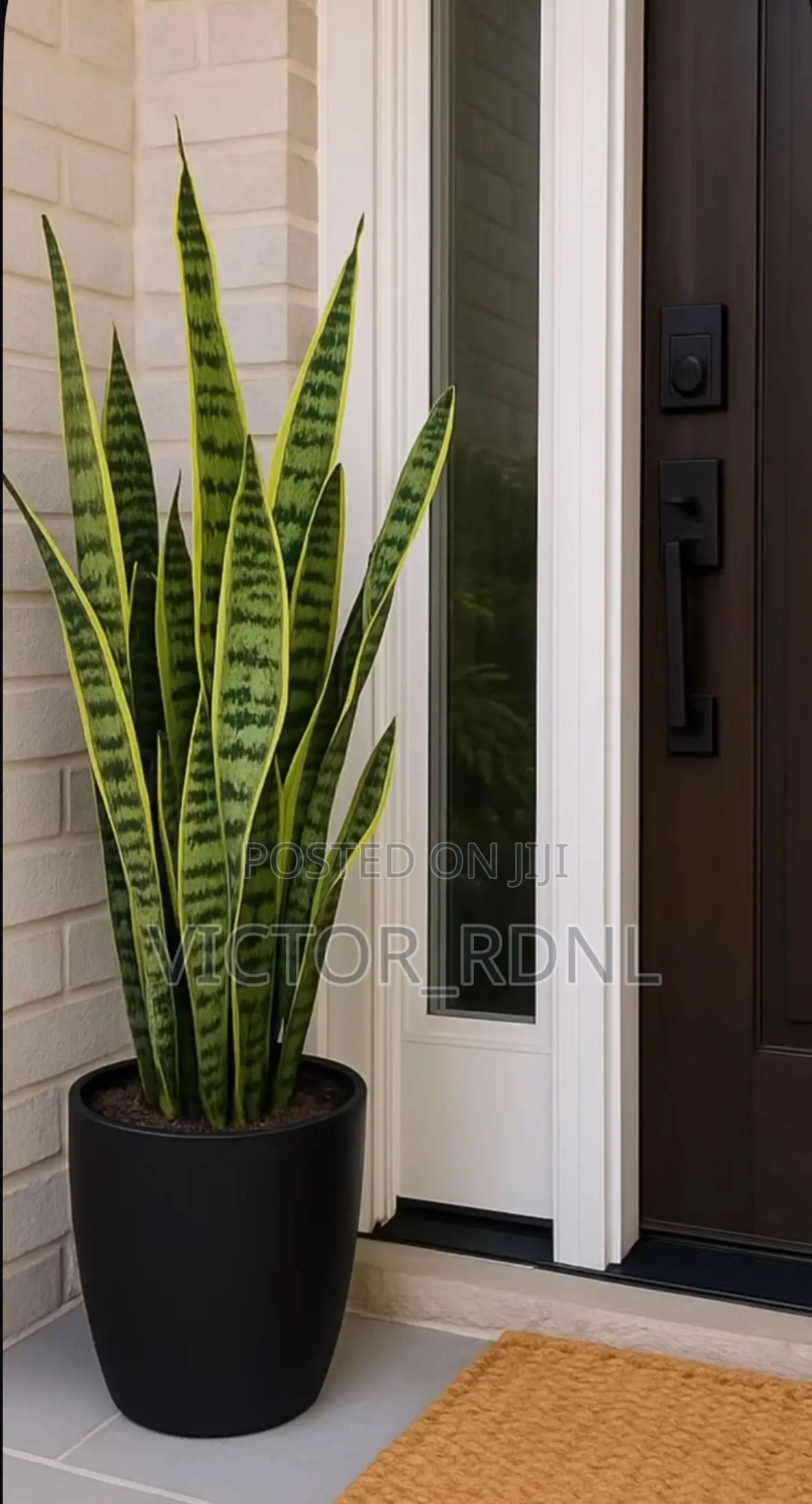 Elegant Flower Pots Available in Bulk