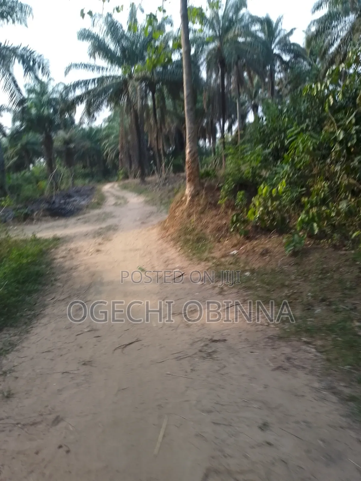 Genuine Mass Land for Sale