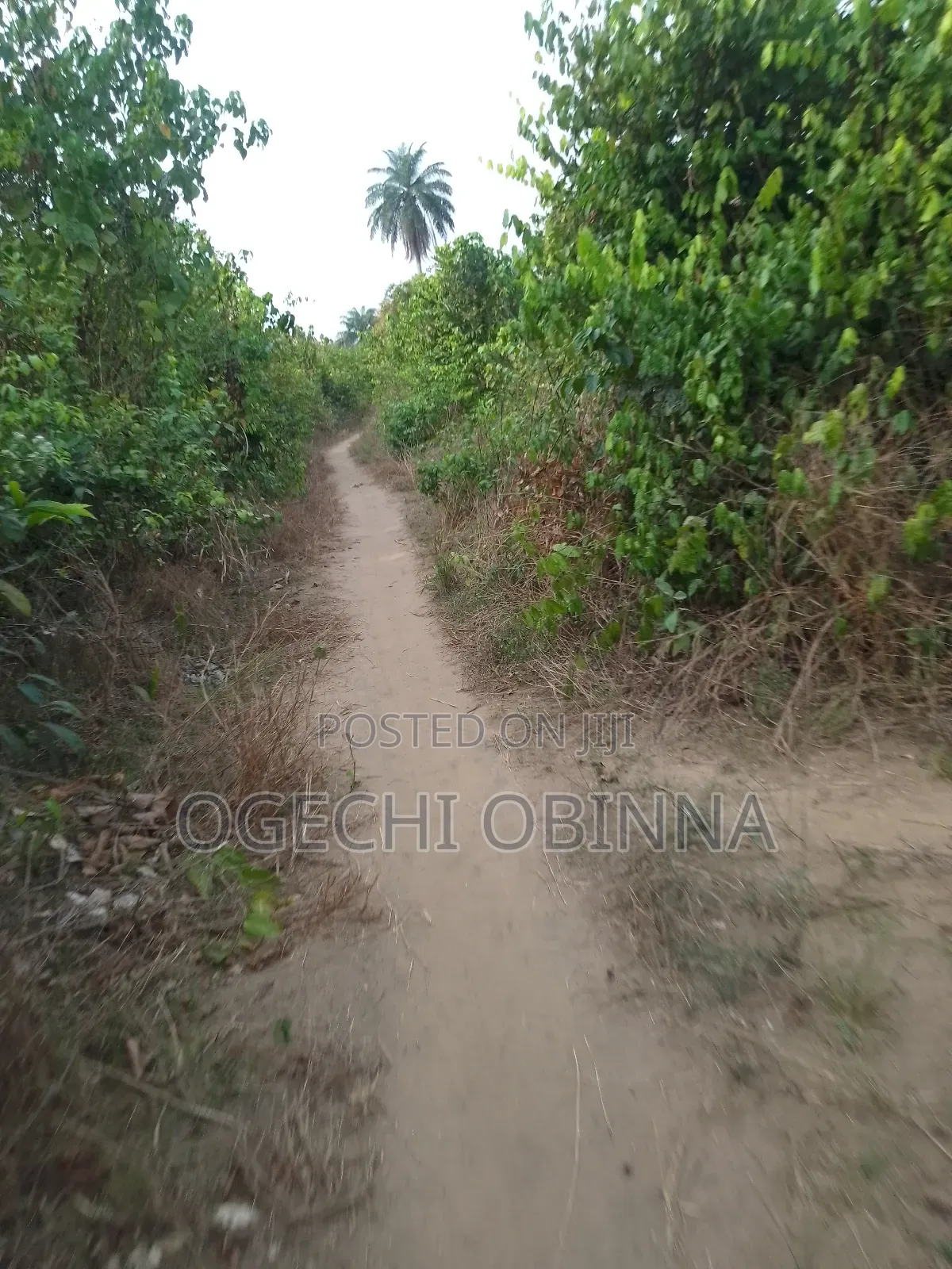 Genuine Mass Land for Sale