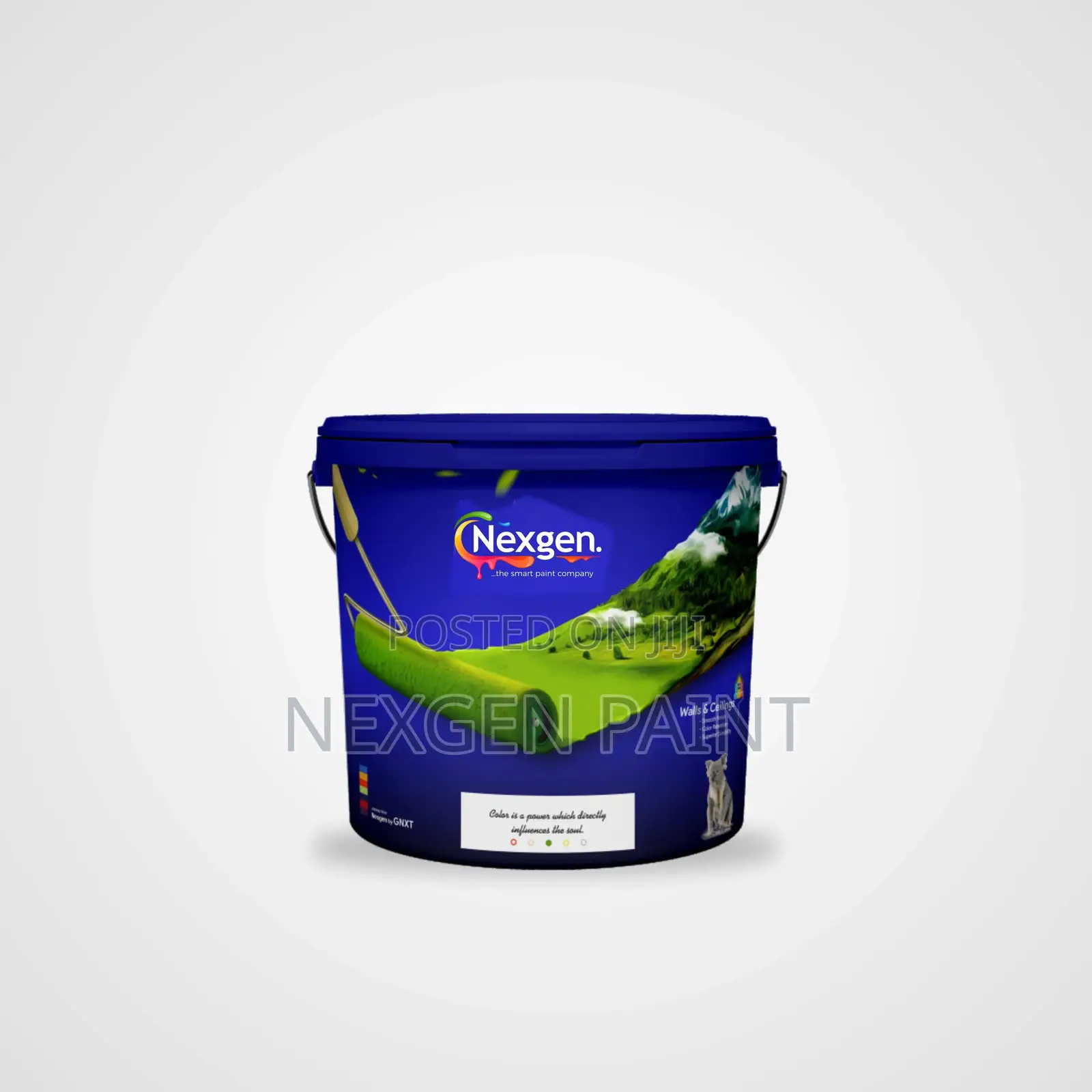 Floor Paint (Nexgen Paints Aj)