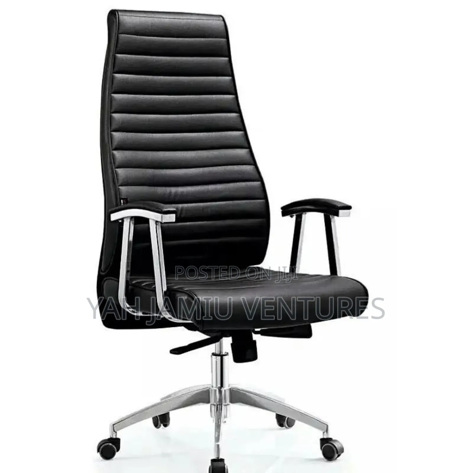 Executive Governors Chair
