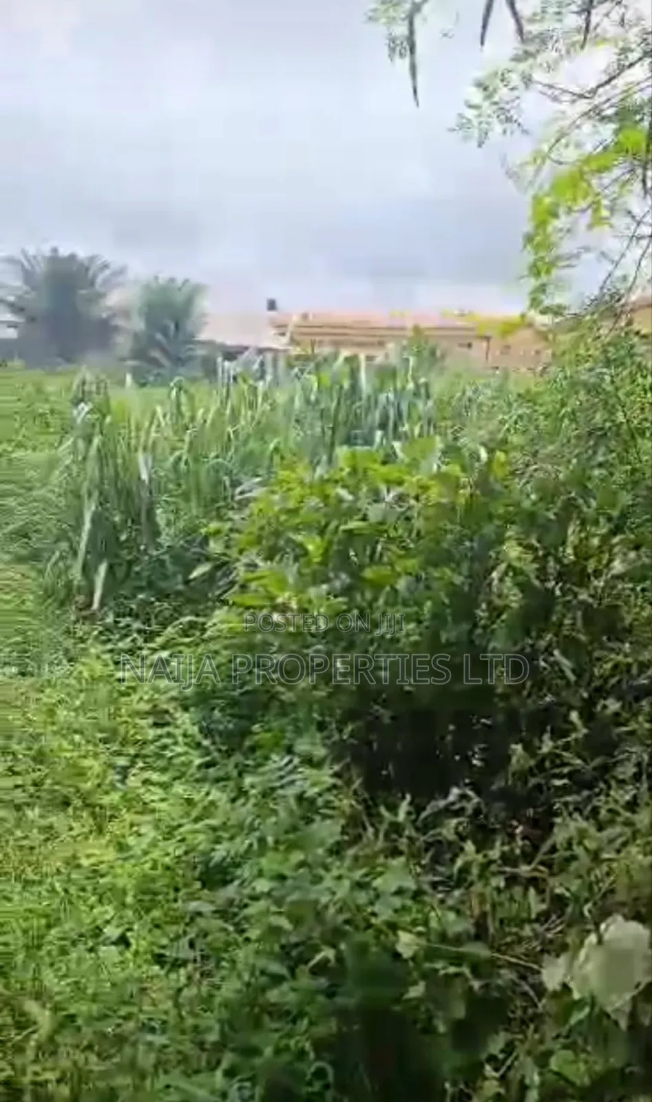 6 Plots of Land in Balogun Estate, Sangotedo for Sale