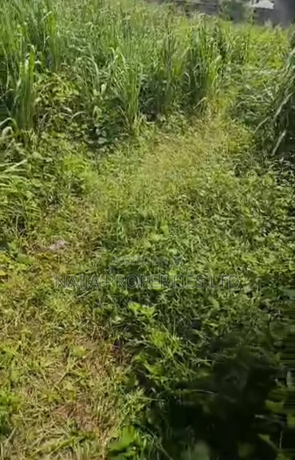 6 Plots of Land in Balogun Estate, Sangotedo for Sale