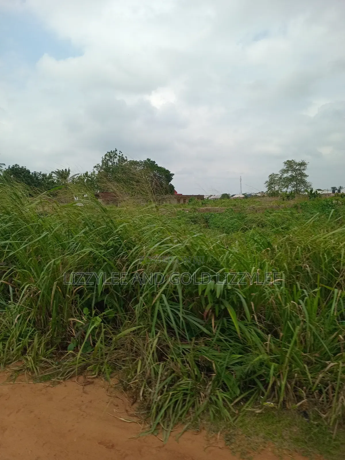 500 Acres Of Farmland For Sale