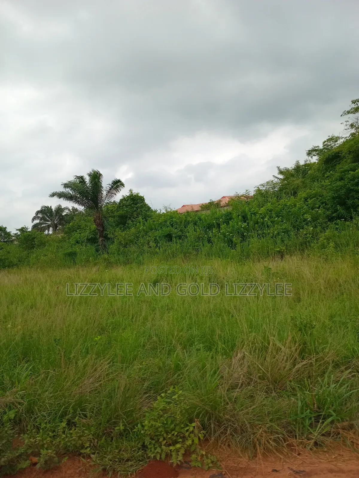 500 Acres Of Farmland For Sale