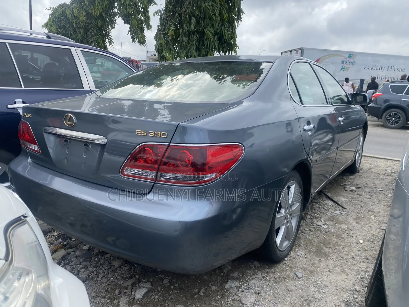 Lexus ES 330 2006 Green