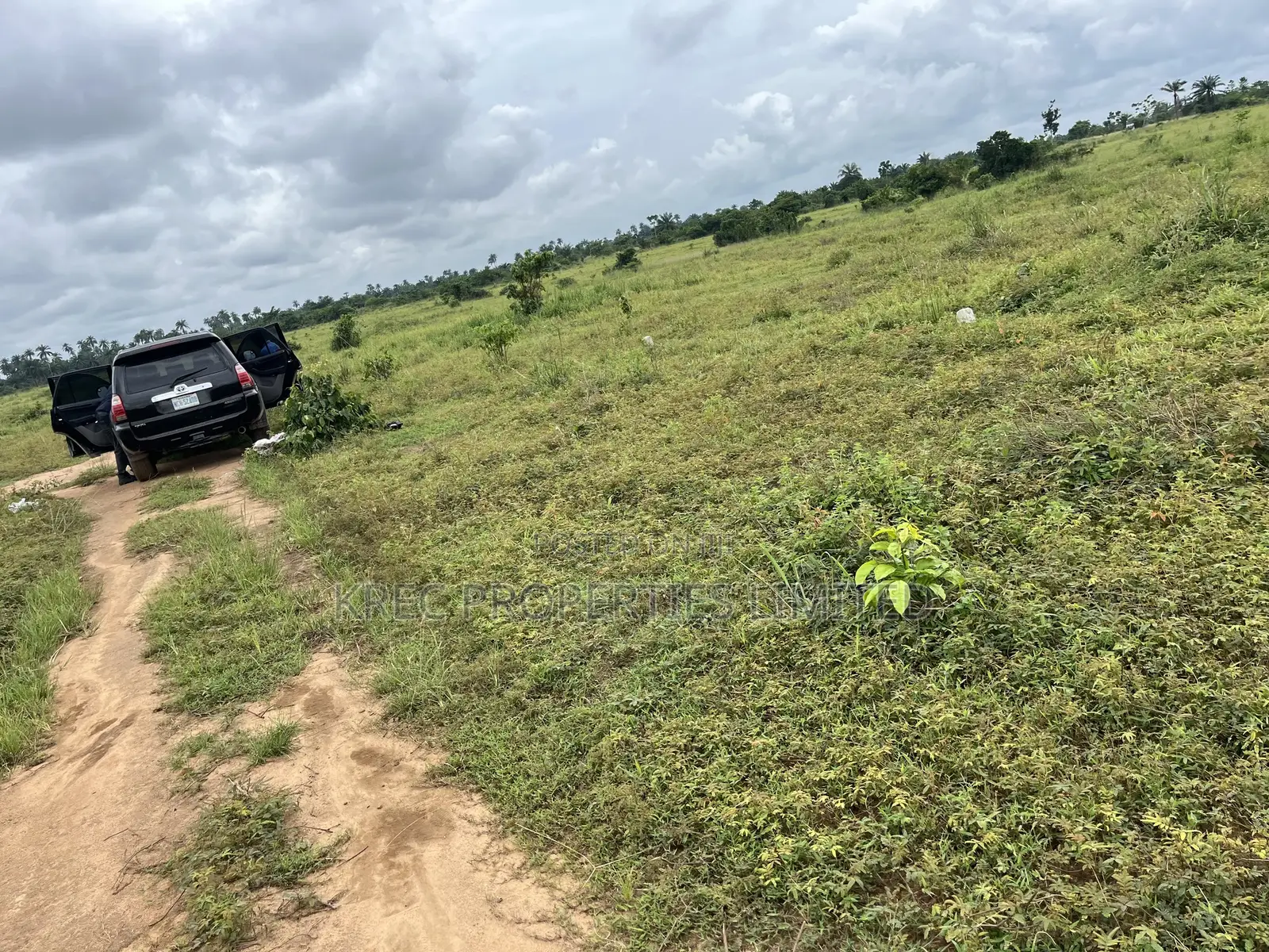 Dry-Land for Sale Very Nice