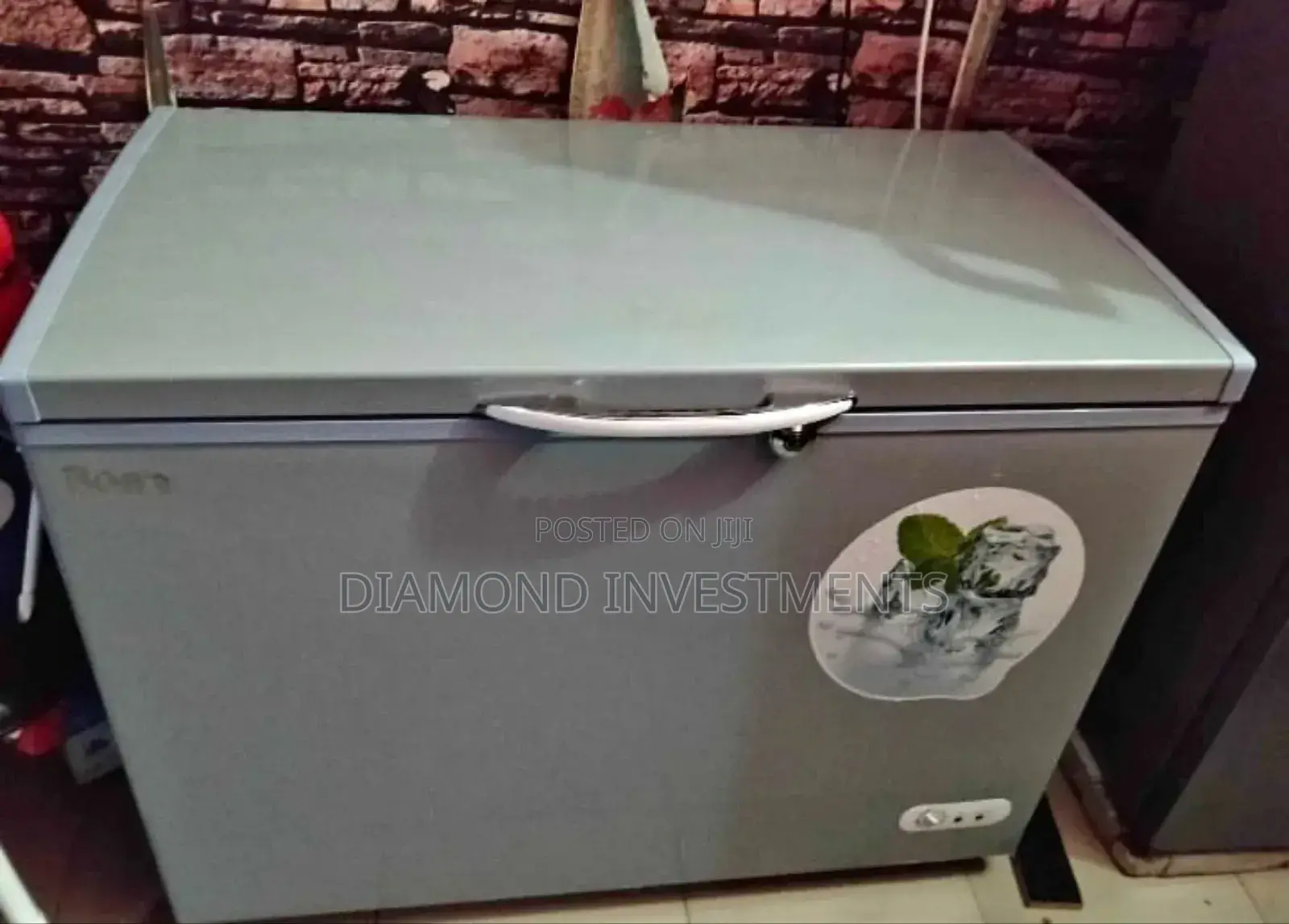 Bona Solar Freezer 318litres