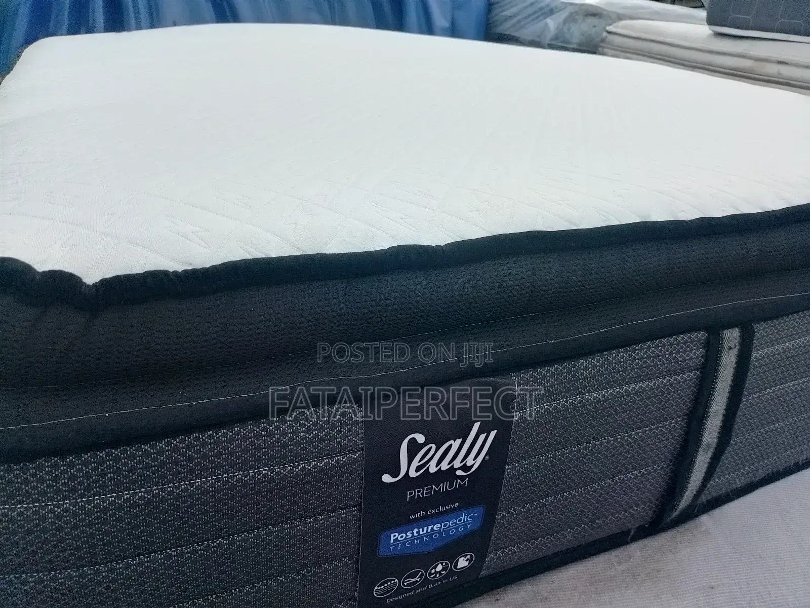 Canadian 6/6 Sealy Posturepedic Mattress for Back Pain