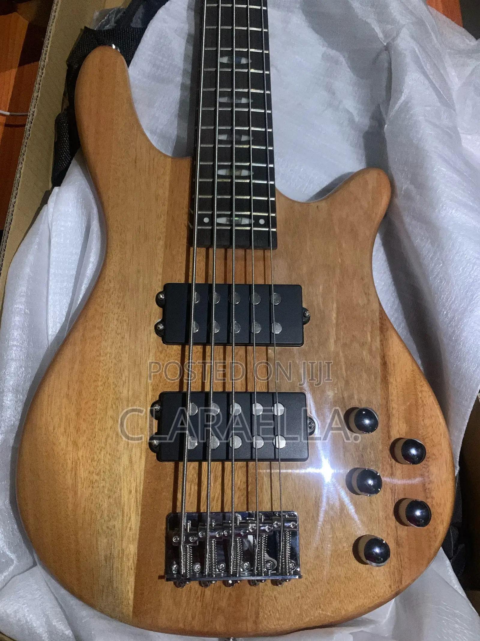 Well Sound 5-String Electric Bass Guitar