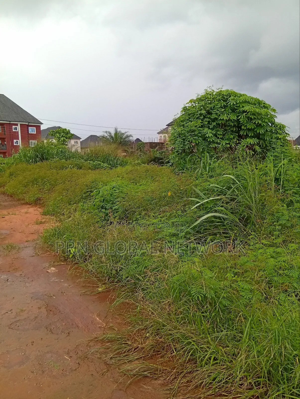 Sharp Plots of Land Available for Sale.