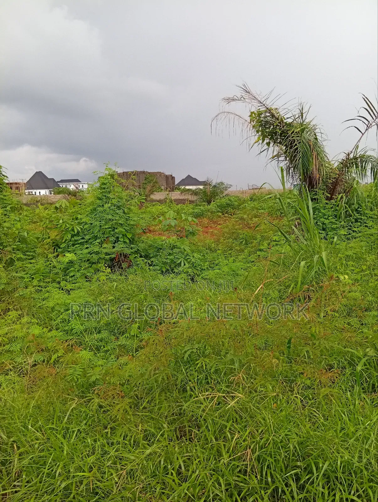 Sharp Plots of Land Available for Sale.