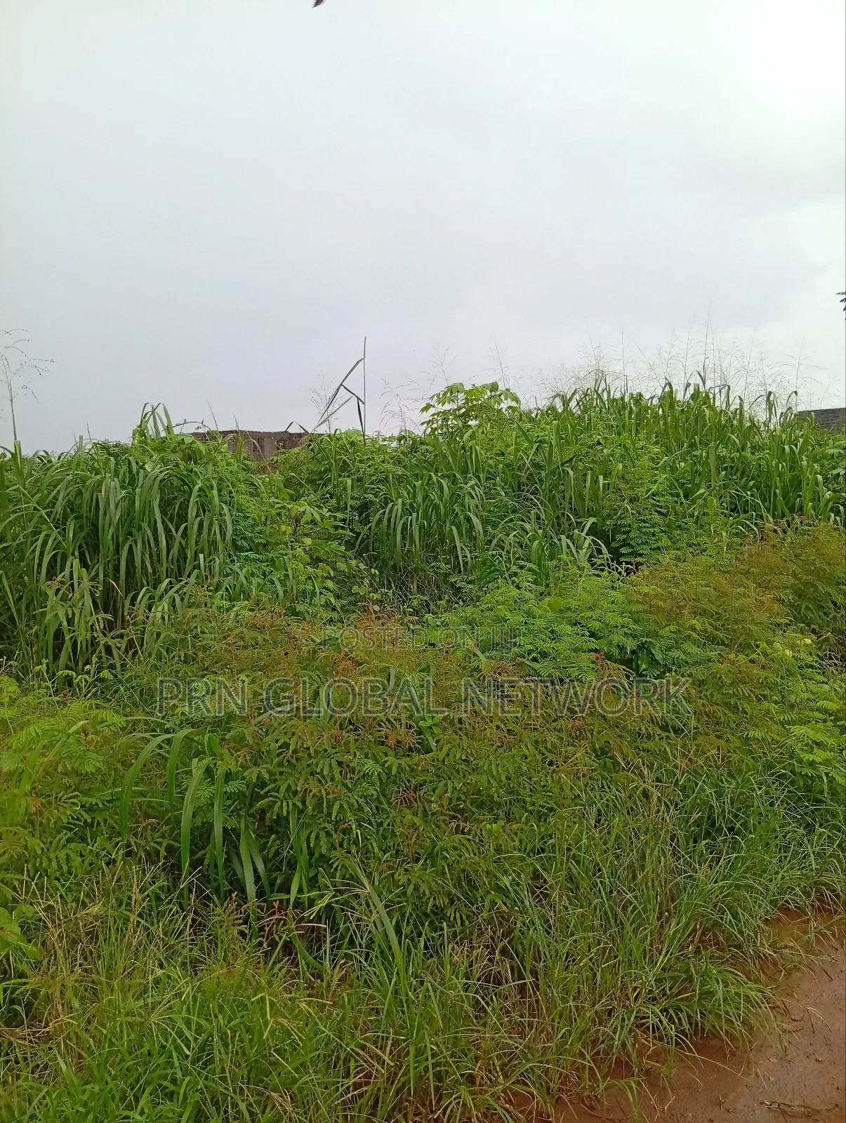 Sharp Plots of Land Available for Sale.
