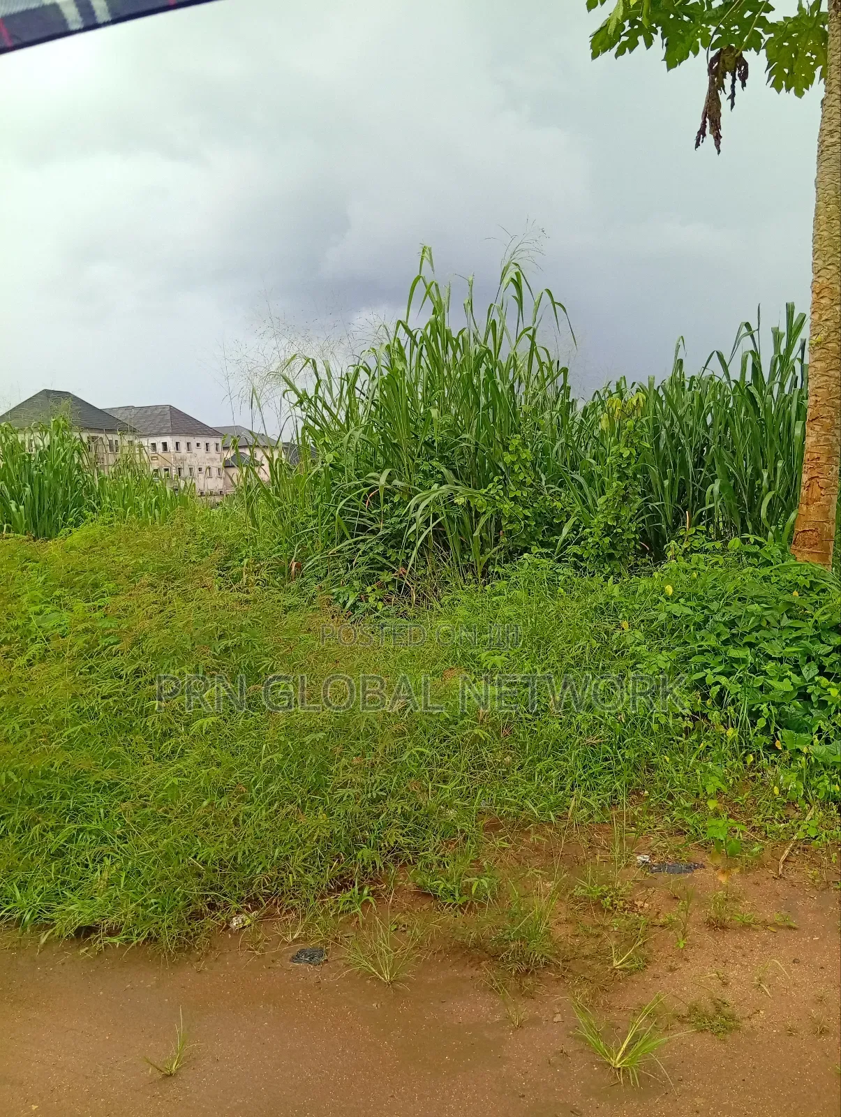 Sharp Plots of Land Available for Sale.