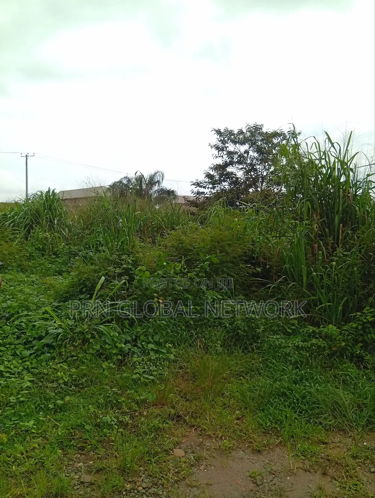 More Than 2 Plots of Land Waiting for a Buyer