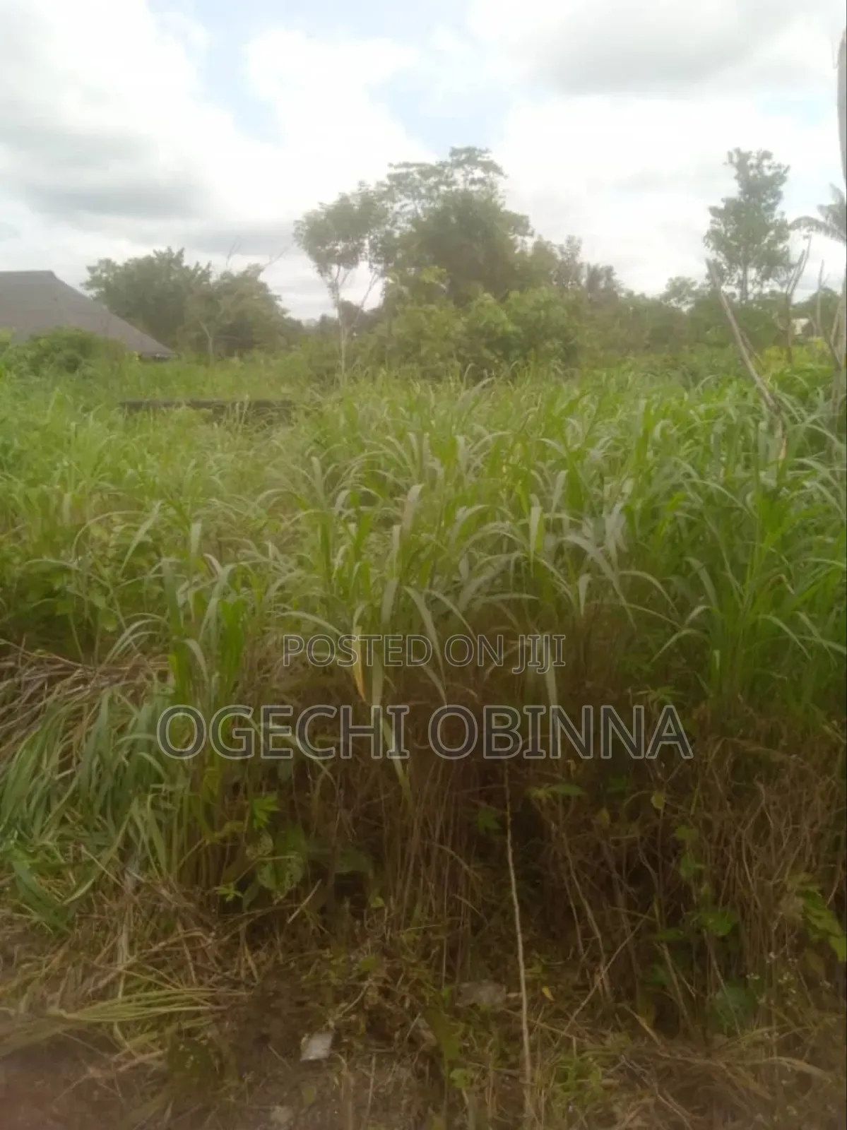 Distress Sale of Plots at Ulakwo Etche( Buy and Build)