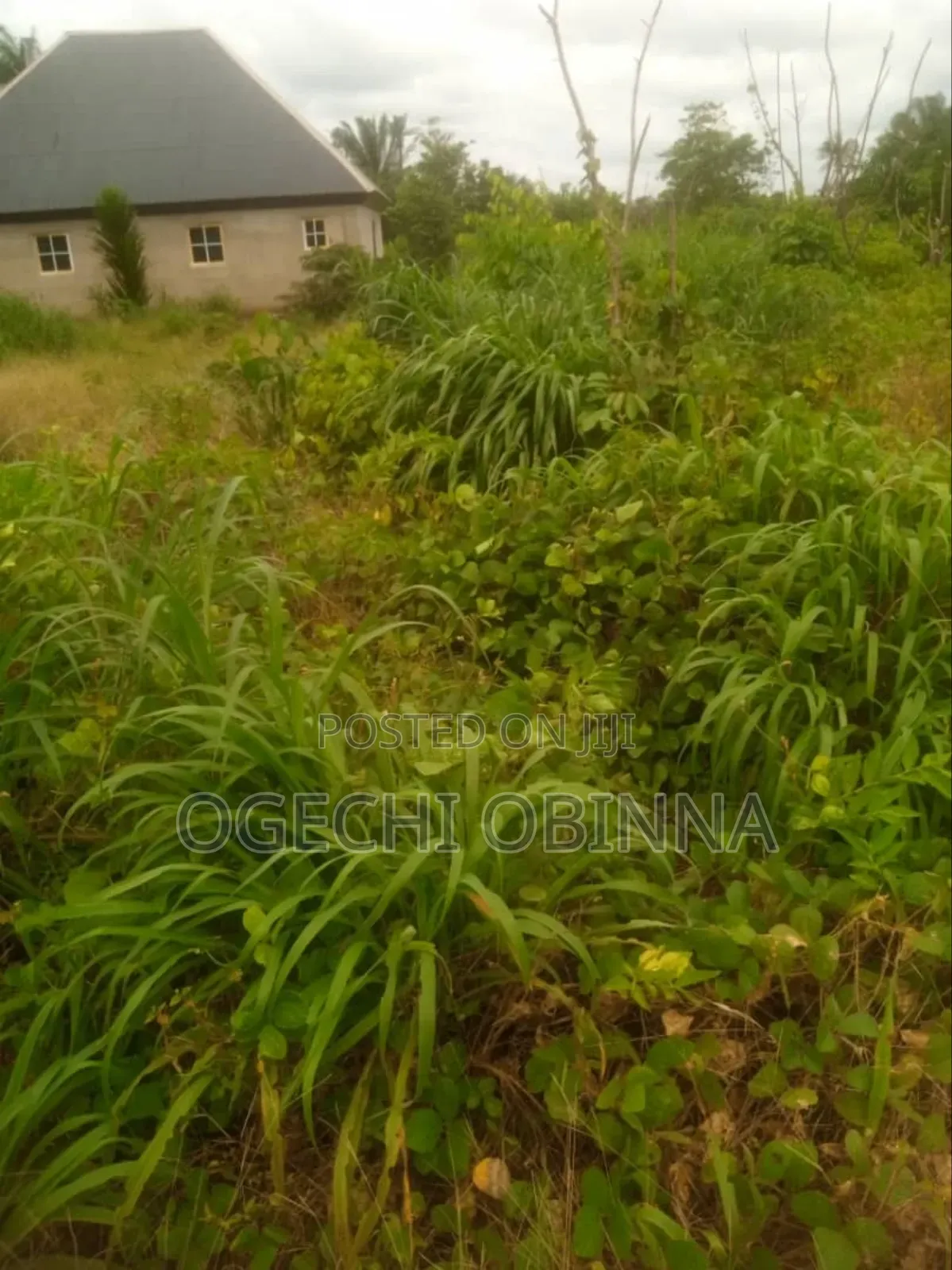 Distress Sale of Plots at Ulakwo Etche( Buy and Build)