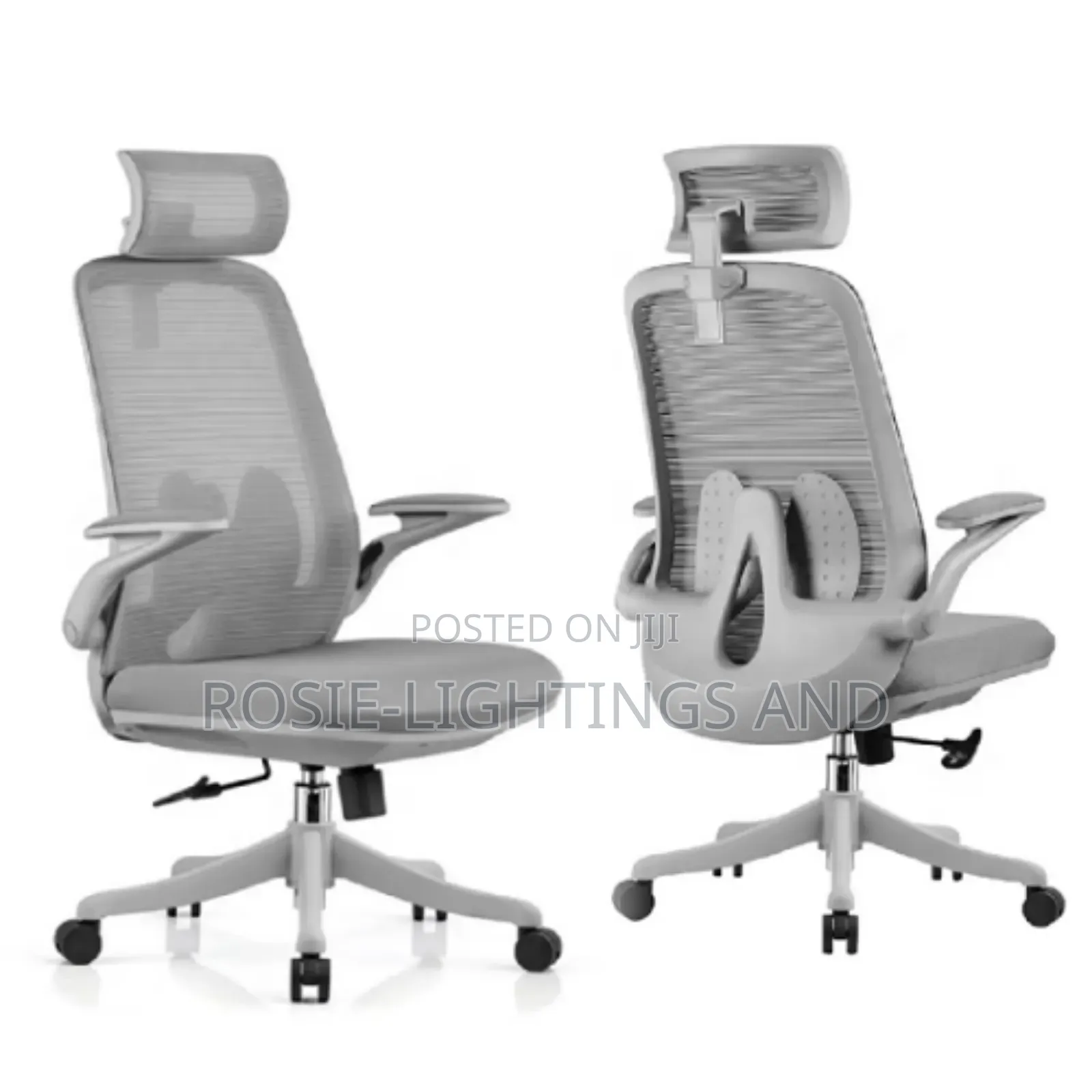 Egornomic Swivel Office Chair With Flip Armrest ( Gray)
