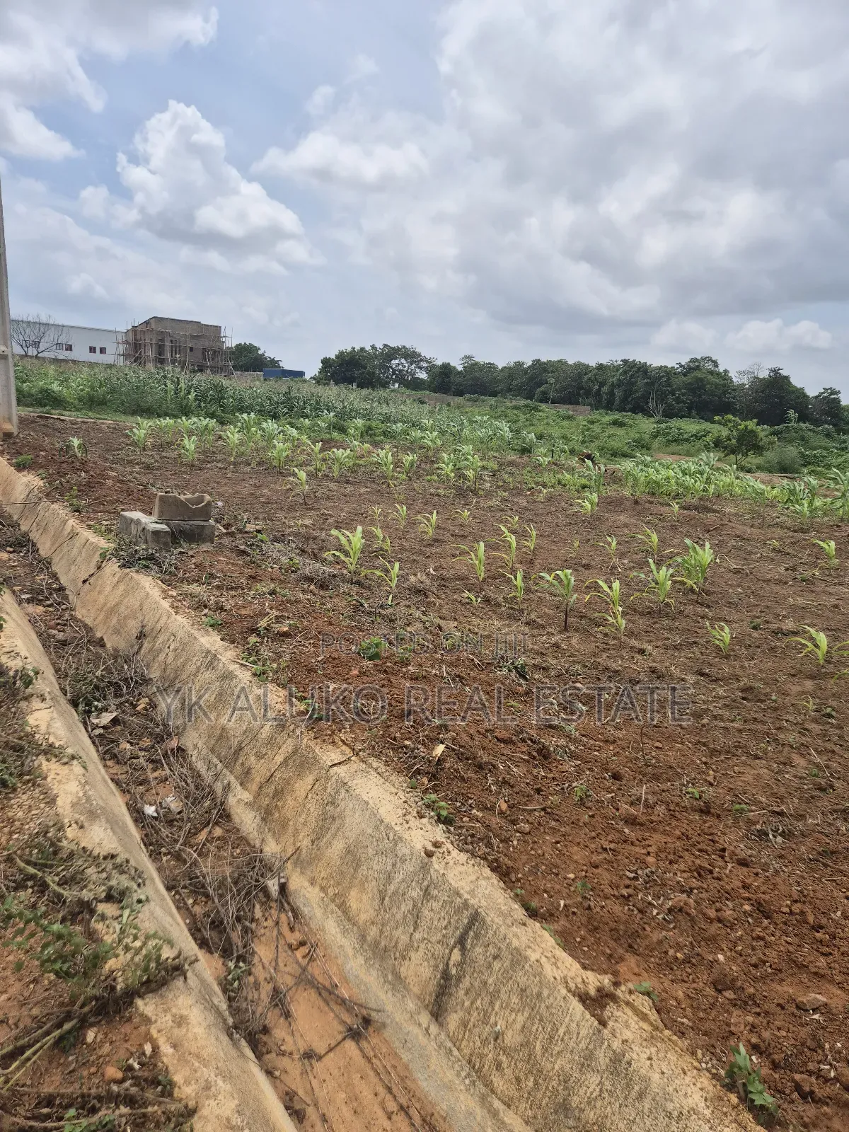 Global Certificate of Occupancy and Deed of Transfer