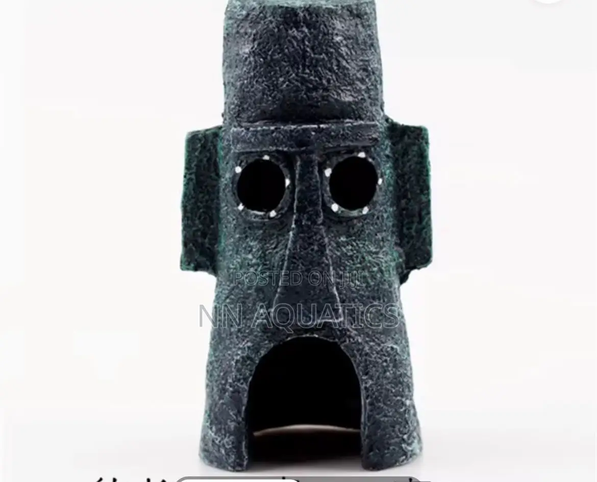 Aquarium Ornament