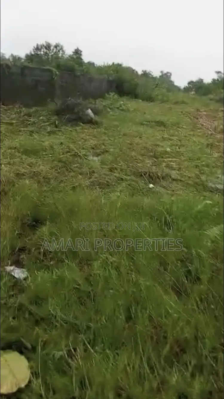 705sqm Dry Land For Sale In Majek