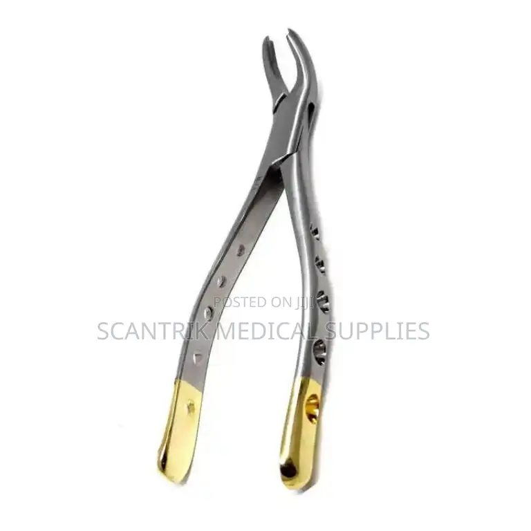 Gold-Plated Dental Forceps