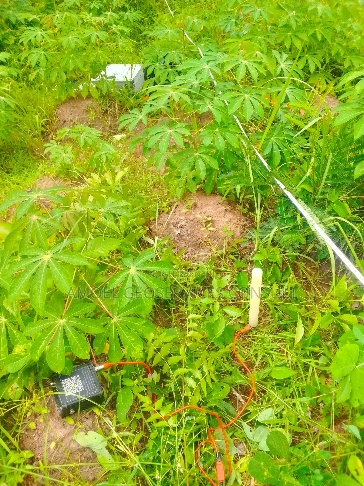 Geophysical Survey for Borehole