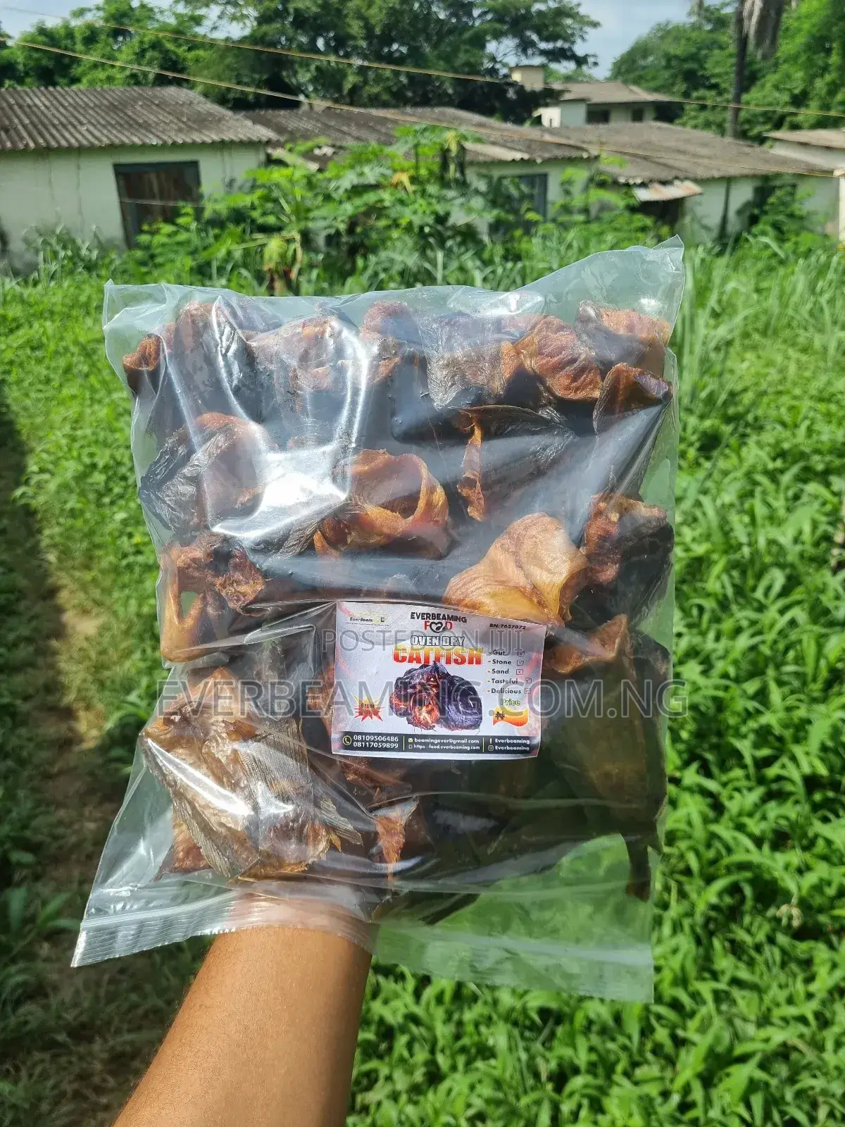 Catfish Cutlets and Chunks Neatly Oven Dried Fish _ 1kg
