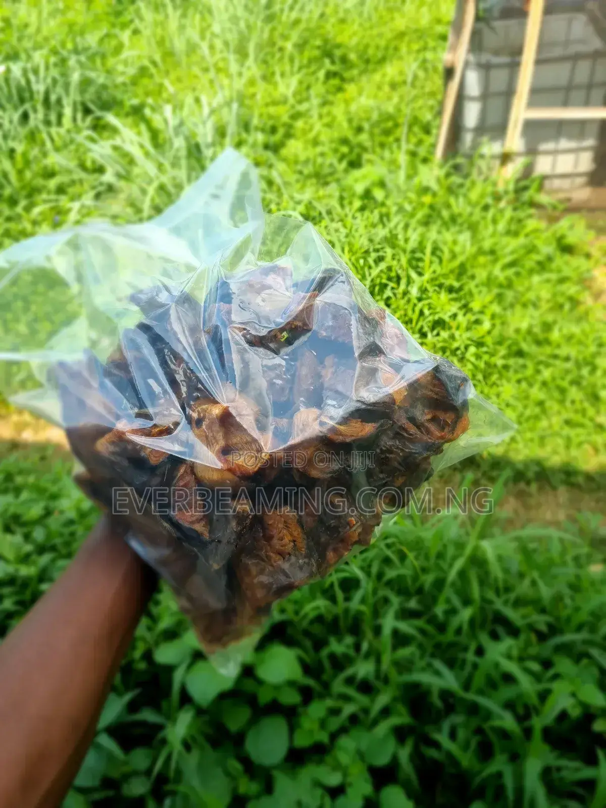 Catfish Cutlets and Chunks Neatly Oven Dried Fish _ 1kg