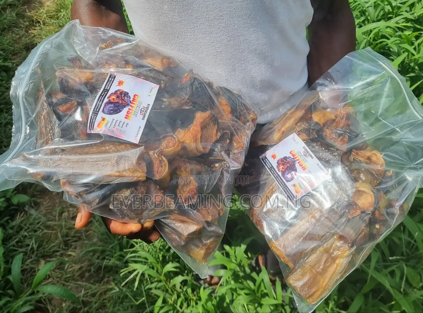 Catfish Cutlets and Chunks Neatly Oven Dried Fish _ 1kg