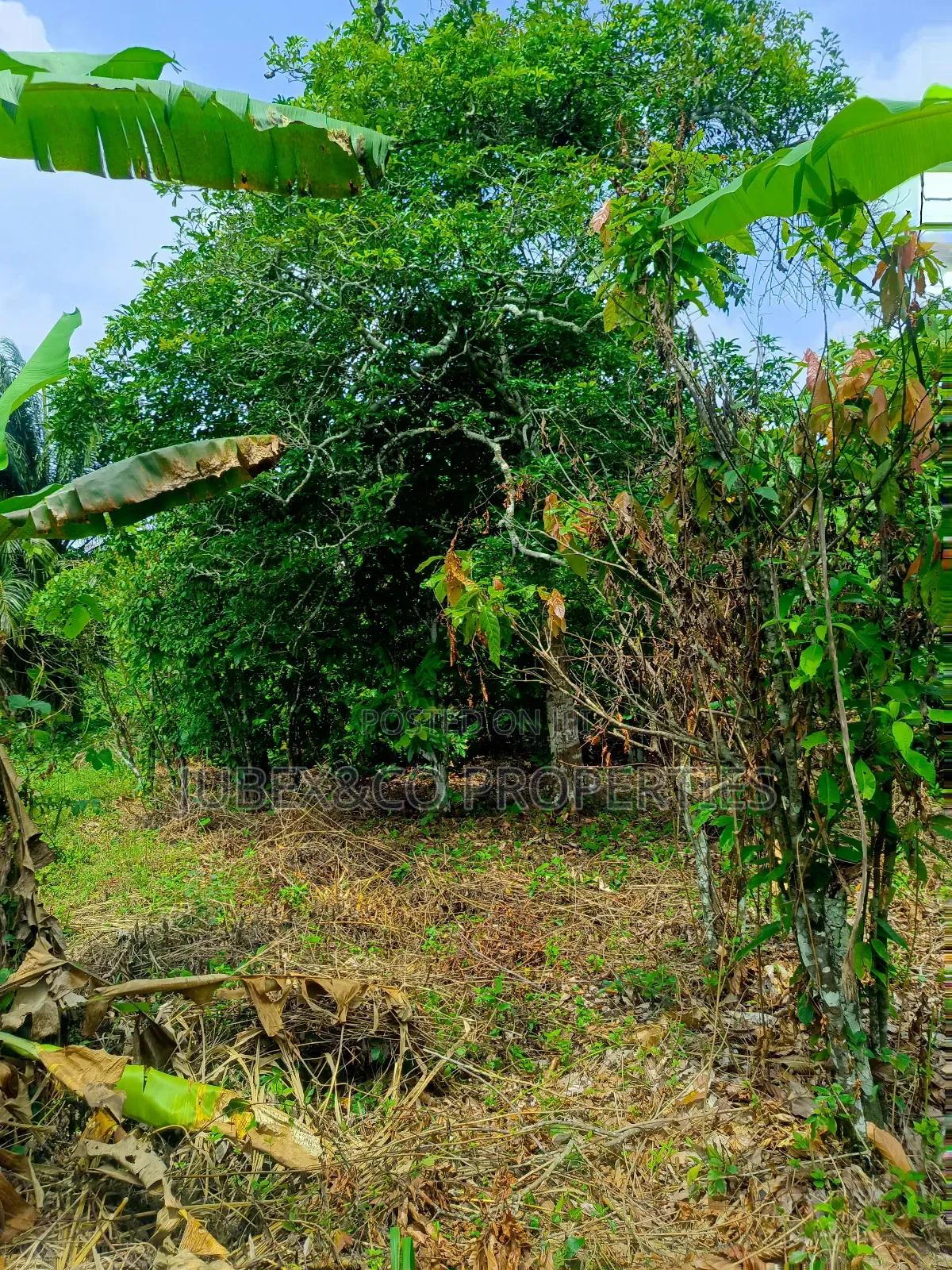 4 Acres Farm Land at Elelubo Abeokuta