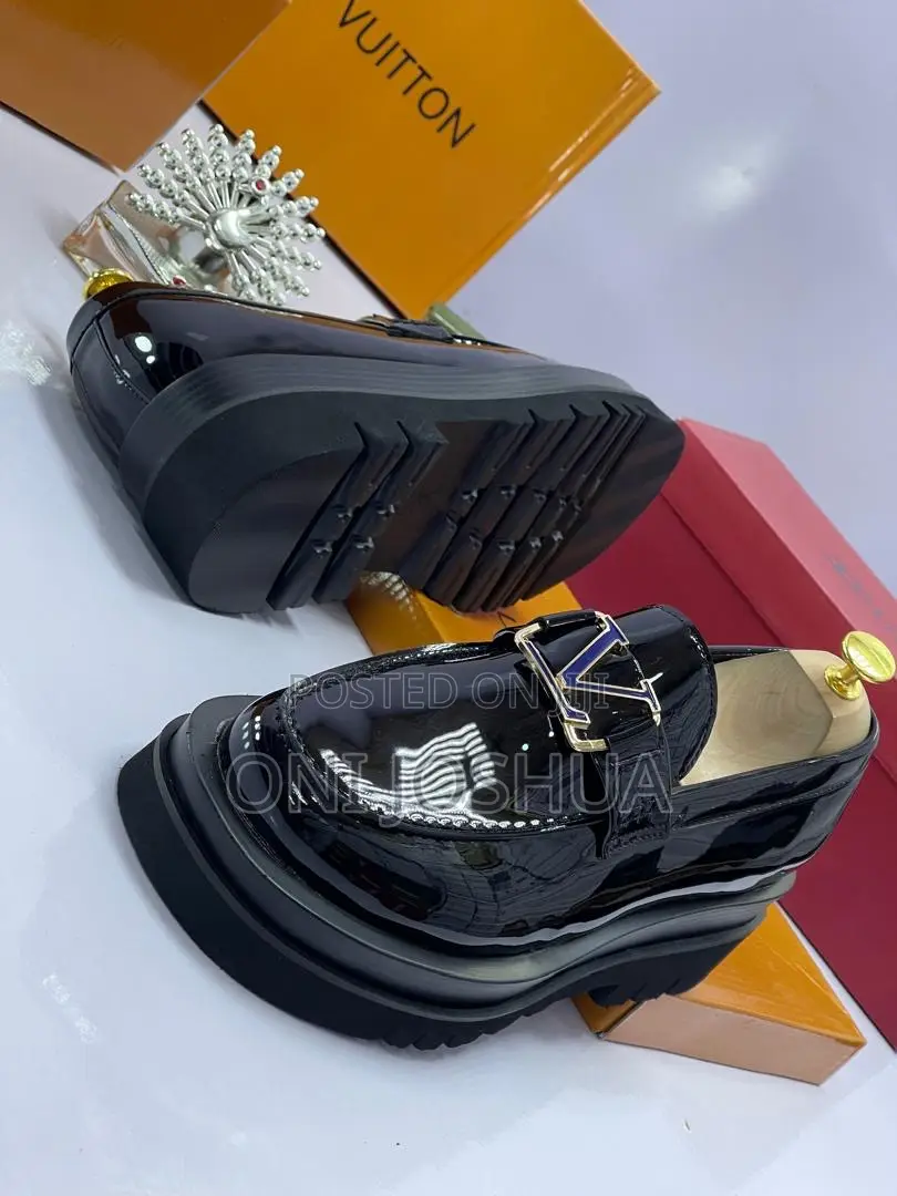 Louis Vuitton Copra Shoe